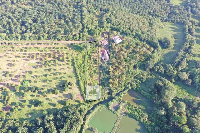 Freehold Non Bumi Land Kg Baru Linsum Rantau Seremban For Sale 4