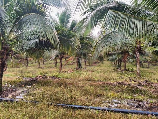 89 Acres Agriculture Land @ Simpang Renggam, Johor 1