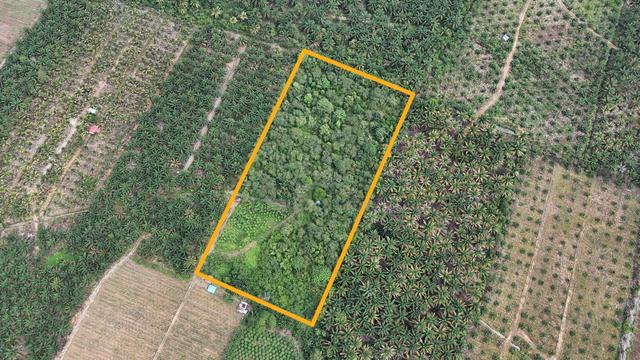 Tanah Kebun Mukim Jorak, Pagoh, Muar [4.94 Ekar] 1