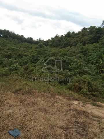 Tanah Murah di Keru Tampin Negeri Sembilan 3