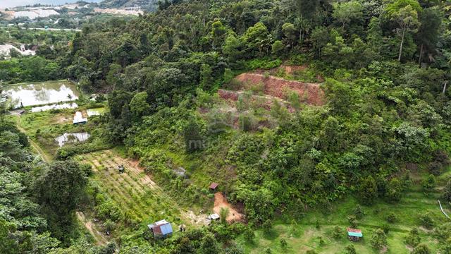 Land for sale 1