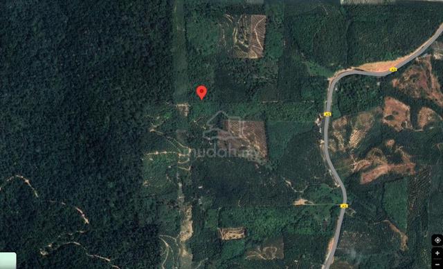 Freehold Agricultural Land Kuala Kangsar 1