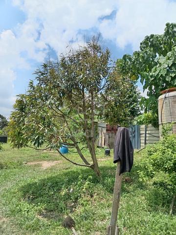 BERBALOI [FREEHOLD 4.29 Ekr] Dusun Durian, Tampin N9 4
