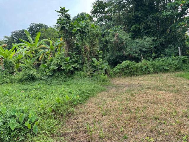 Tanah Untuk Di Jual di Pokok Mangga, Melaka 1