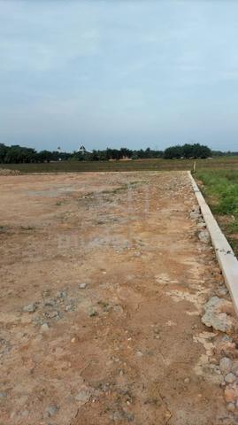 Tanah sawah padi di untuk dijual - lokasi strategik dan harga murah. 2