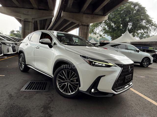 2022 Lexus NX250 2.5 LUXURY S/Roof H/U Dis 360 PS - 2