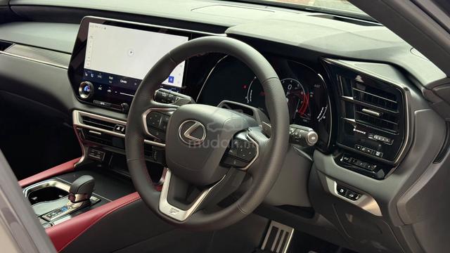 Rare Colour Grey 2024 Lexus RX350 2.4 F SPORT - 5