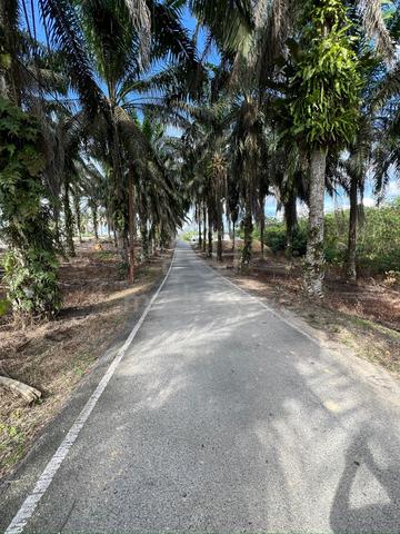 Tanah Lot Banglo Untuk Di Jual Kawasan Kota Tinggi 1