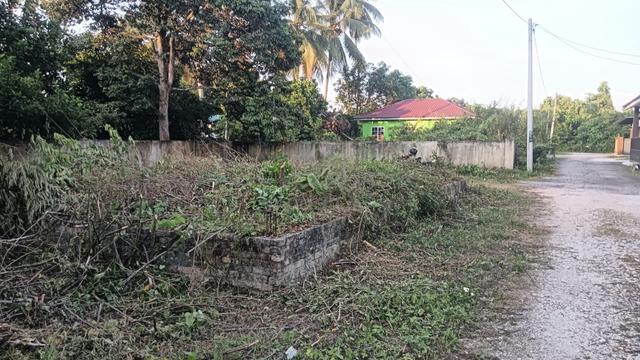 Tanah Kosong Untuk Disewakan 1