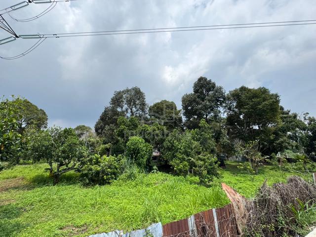 Tg Rambutan ulu kinta Tambun land for sales 1