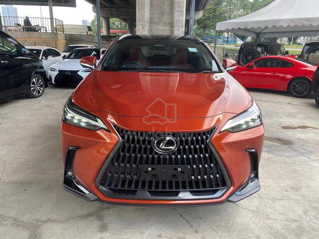 2023 Lexus NX 250 2.5 LUXURY P/R HUD BSM 360 LED - 1
