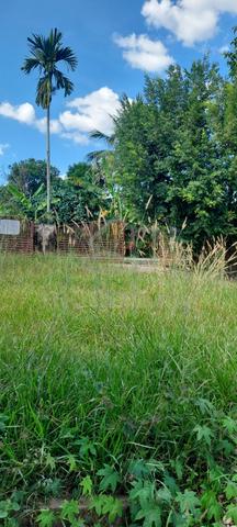 Tanah beserta sebiji Banglo di Sik Kedah untuk dijual 4