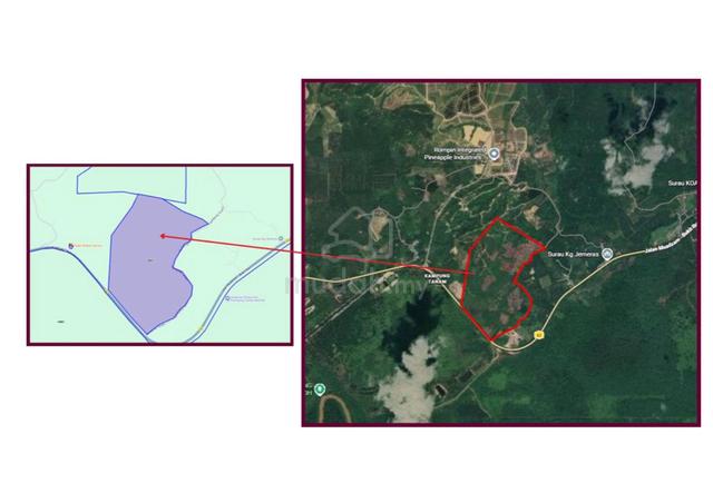 AGRICULTURE LAND FOR Sale @ ROMPIN, PAHANG 1