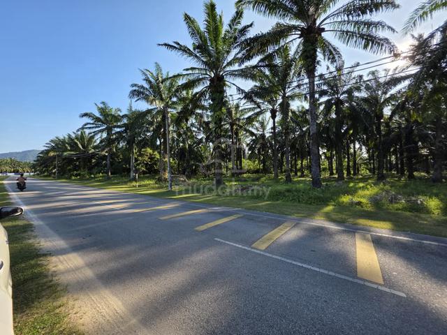 Jalan Kuala Mengkuang Grade A Land For Sale 1