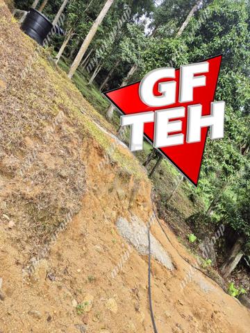 6.35acres Agricultural Land Durian Farm Sungai Lembu BM Penang 5