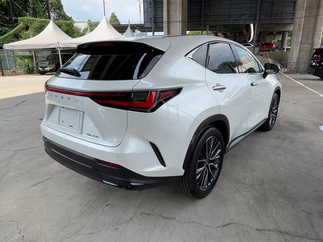 2023 Lexus NX 250 2.5 VL (A) - 5