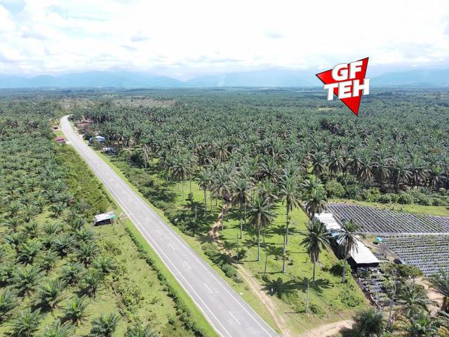 25.67 Acre Main Road | Agricultural Land | Selama | Perak 1