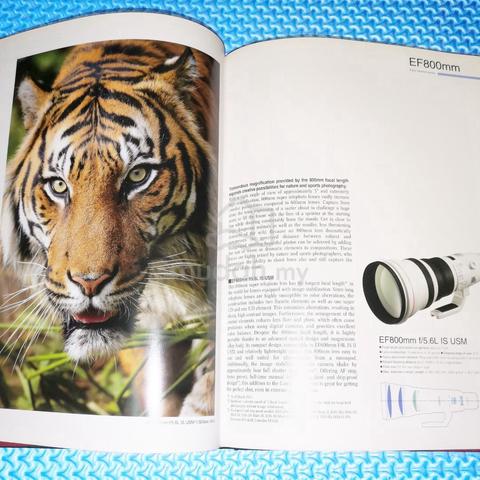 Canon EF Lens Work III: The Eyes of EOS - photo 4 of 5