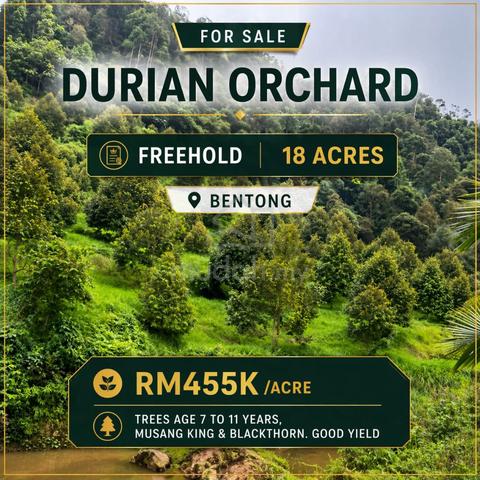 Freehold Durian Orchard 18 acres Bentong Pahang good harvest 1