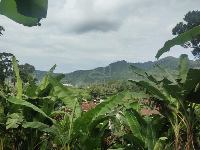 Land For Sale Teluk Kumbar 1