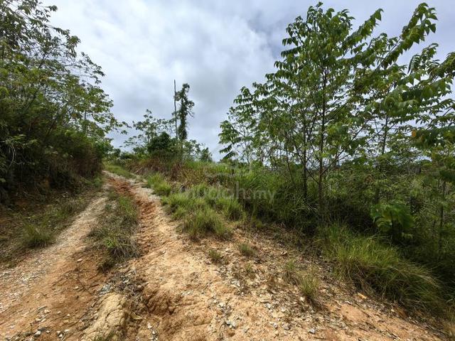 9.8 Acres Hilly Freehold Agriculture Land Ulu Lepar Gali Raub 1