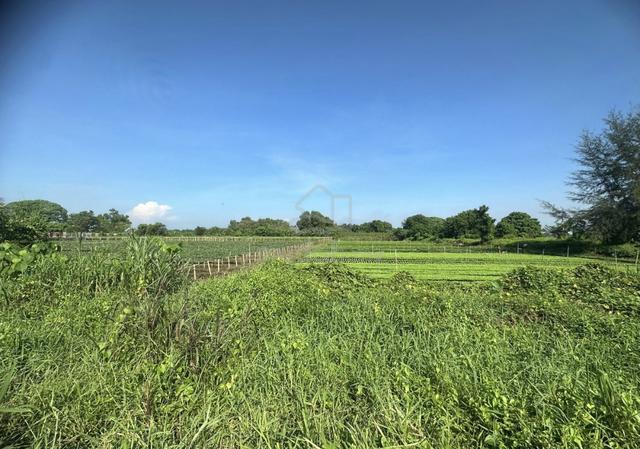 Good for investment bukit cerakah kapar land 1