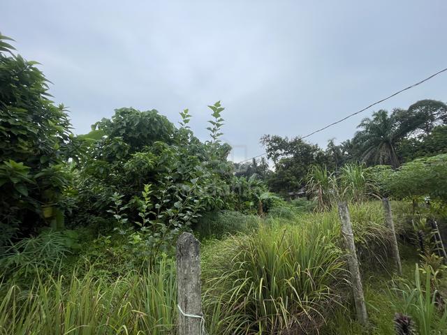 Land in Beranang, Ulu Langat, Selangor 3