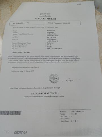 Ladang Sawit Untuk Di Jual 1