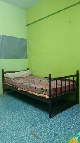 Bilik Untuk DiSewa 1