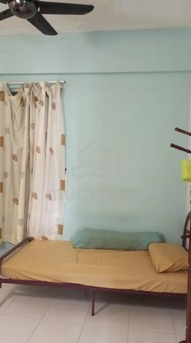 Fully Furnished Single Room At The Golden Triangle Condo, Relau/Sg Ara 1
