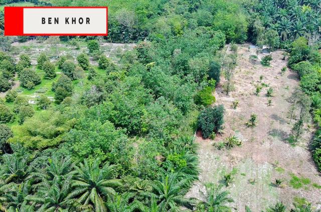 1.28 acres | Agricultural land | Bukit mertajam | PENANG 1