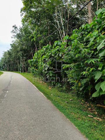 tanah getah 1