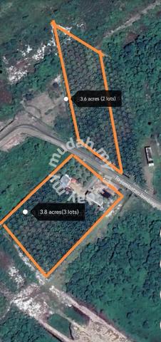 Pekan Agriculture Land with Oil Palm Tree & Birdfarm Building 1