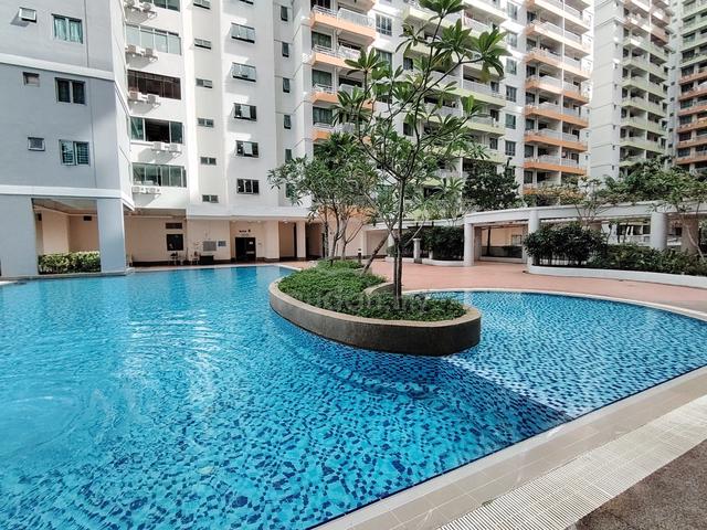 D Alamanda 1