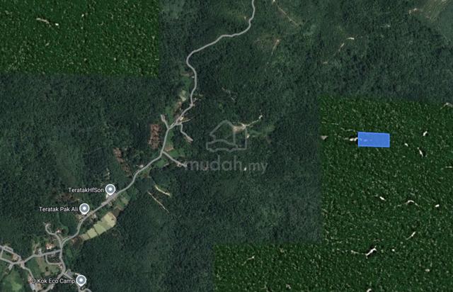 Murah Tanah Pertanian sesuai Dusun Tanjung Ipoh Terachi Kuala Pilah 3