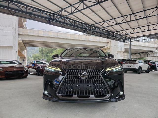 2022 Lexus NX250 2.5 LUXURY (A) GRADE 4.5B - 3