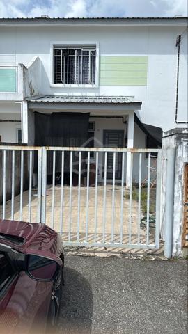 Pulai hijauan 1