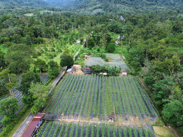 Tanah Sungai Lui ,Hulu Langat 1