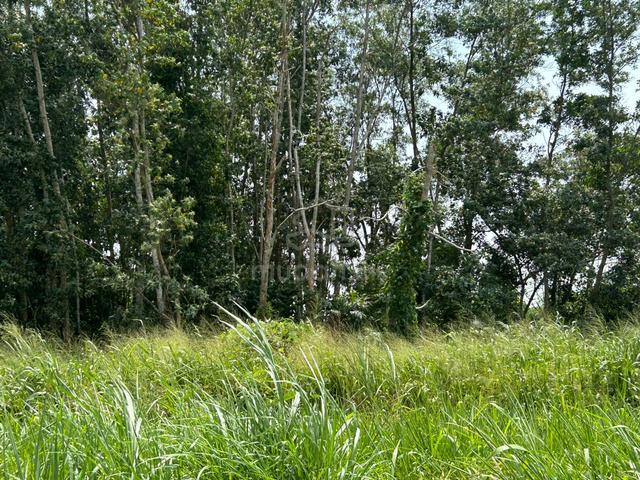 Kelang Lama Empty Land For Rent 2