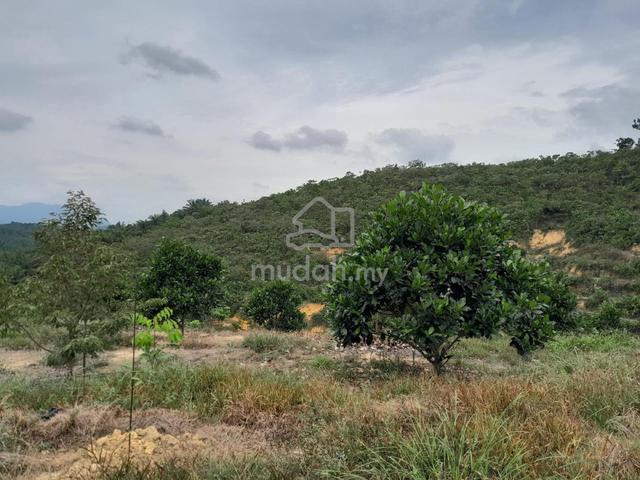 Freehold agricultural land 1