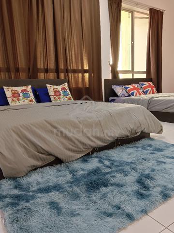 Akademik Suite 1