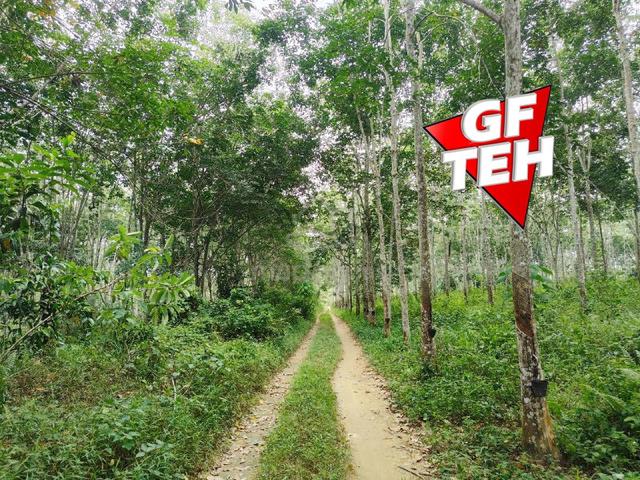 5.03 acre Agricultural Land | Sauk | Perak | For Sale k 1