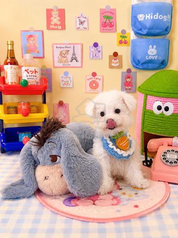 Carousel Image
