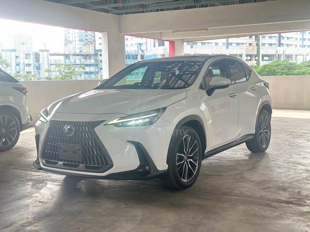 *Grade4.5/Sunroof* 2023 Lexus NX 250 Version L - 2