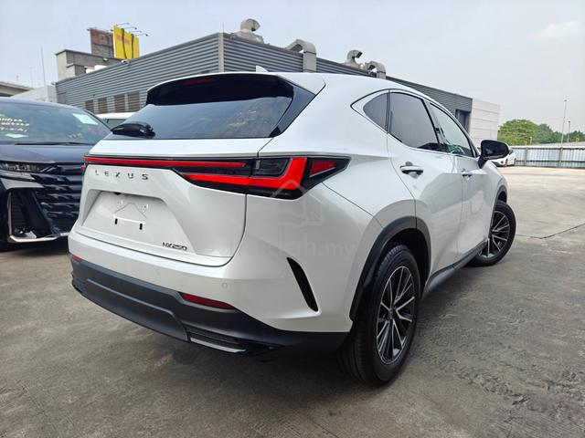 2023 Lexus NX 250 Luxury 4Cam Brown Leather DIMHUD - 2