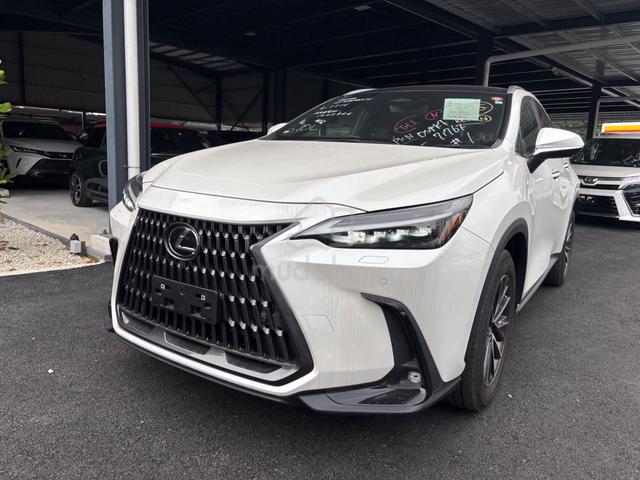 2023 Lexus NX250 2.5 VERSOL L 360CAM PANAROMIC ROF - 2