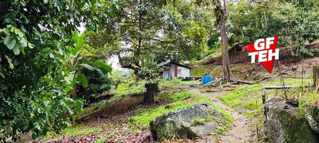 48 acre Agricultural Land | Durian Farm | Balik Pulau | Penang 1