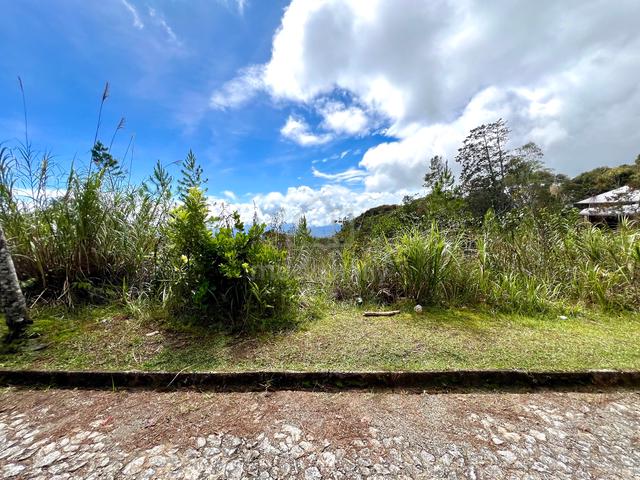 CL Land | 0.5 acre | Residential | Mesilau Golf Course | Kundasang | 1