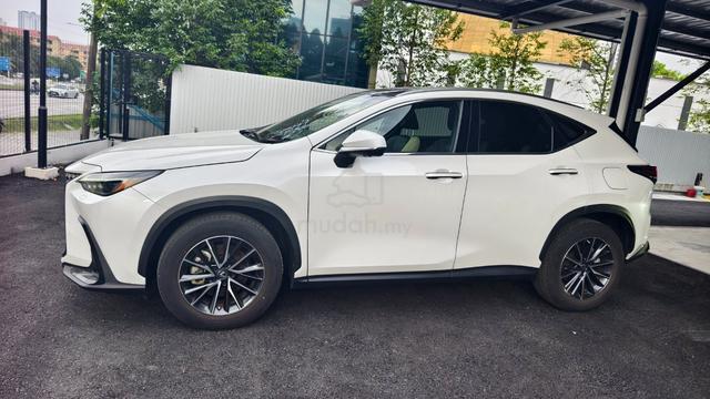 2023 Lexus NX250 2.5 LUXURY (A) - 3