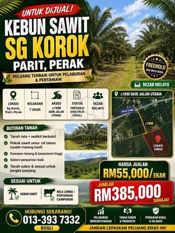 7 Ekar Sawit Produktif di Sg Korok Parit Perak Rezab Melayu 1
